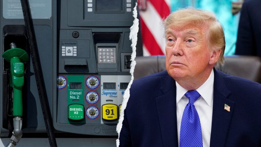 Republicans could feel ‘same fate’ as Democrats as gas prices are elevated ahead of midterms, expert says