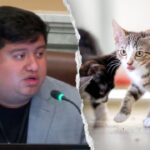 Blue state councilman mocked after claiming self-driving cars are ‘murdering’ pets: ‘Hide your cats’