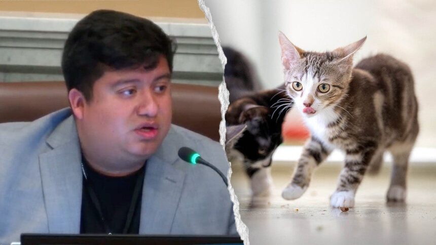 Blue state councilman mocked after claiming self-driving cars are ‘murdering’ pets: ‘Hide your cats’