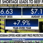 Beef prices hit record highs as US cattle shortage worsens | Fox Business Video