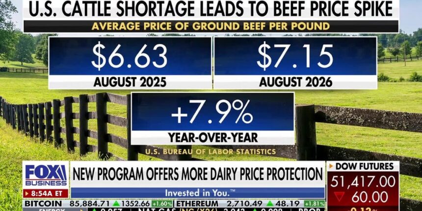 Beef prices hit record highs as US cattle shortage worsens | Fox Business Video