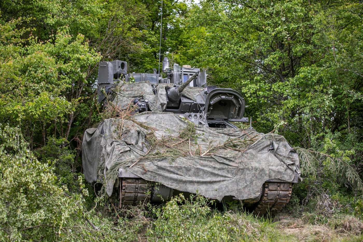 AMPV in 2025 tree line exercise in Germany