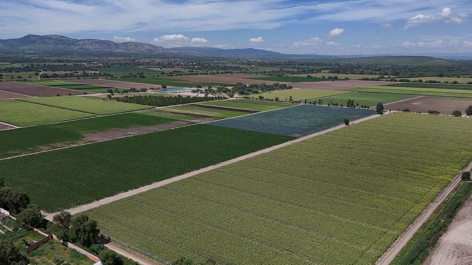 A drone view shows the fields near the installations of U.S. supplier Taylor Farms