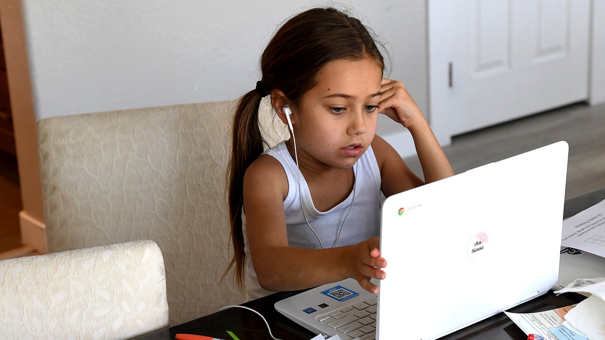 A young girl uses a laptop.
